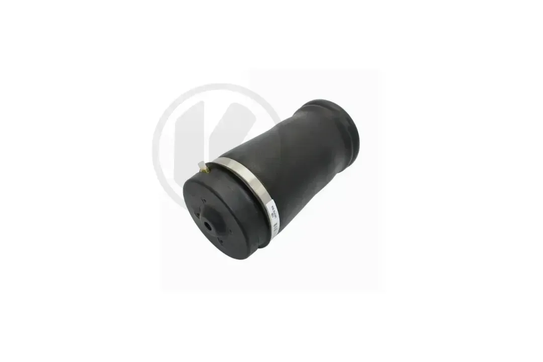 AIR SPRING - REAR LEFT AND RIGHT
